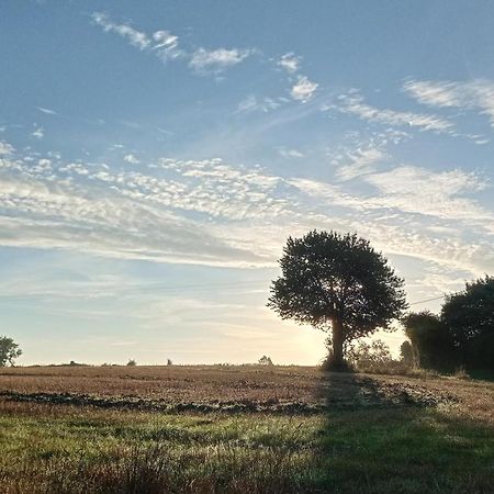 Au Mont & Merveilles Sartilly-Baie-Bocage Esterno foto