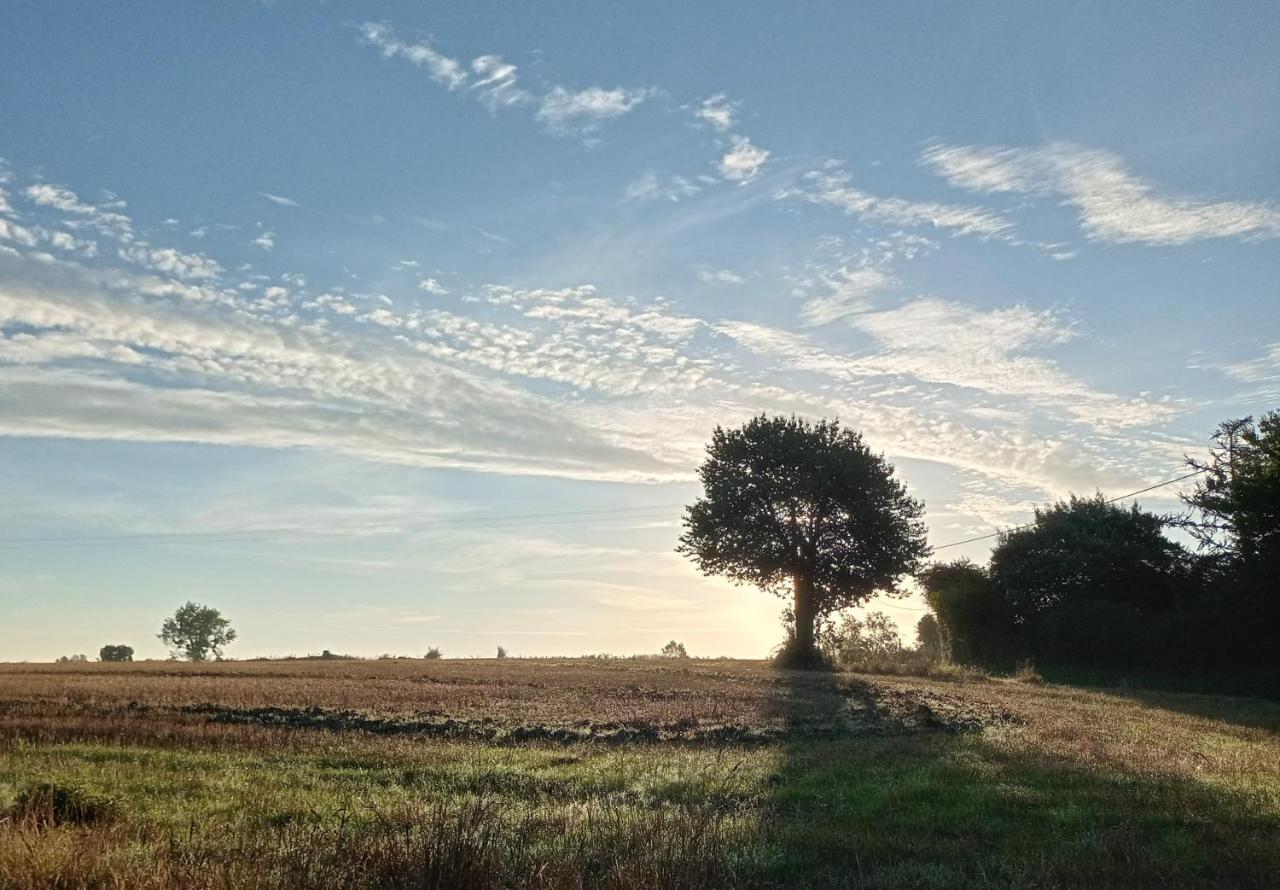 Au Mont & Merveilles Sartilly-Baie-Bocage Esterno foto